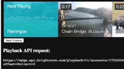 Playback API Paging