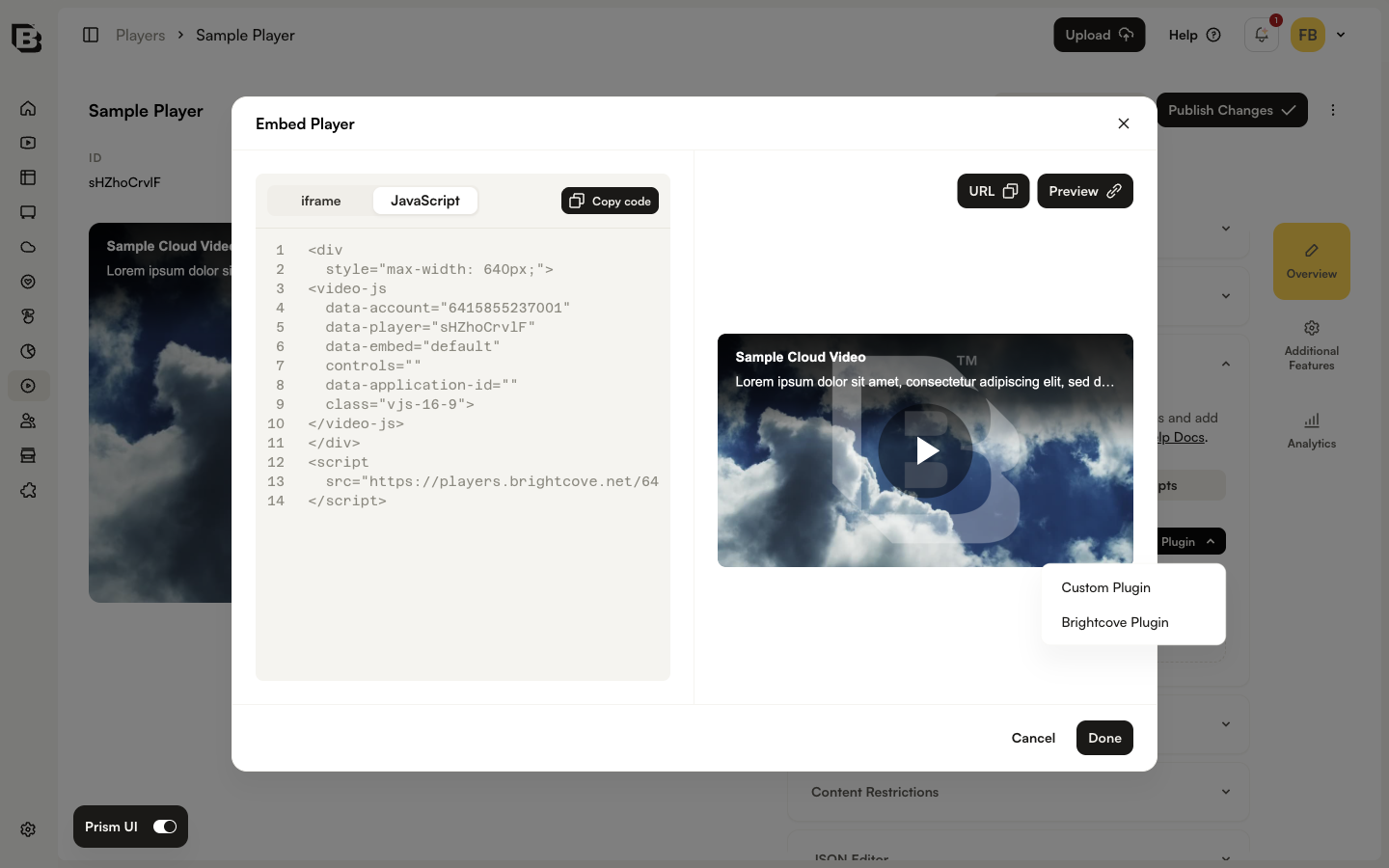 JavaScript embed code