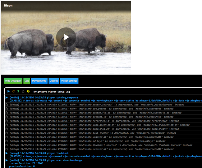 Brightcove Player debugger